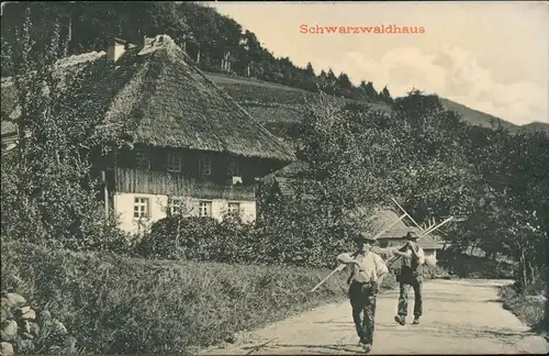 Ansichtskarte .Baden-Württemberg Schwarzwaldhaus, Straße - Bauern 1914