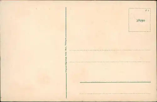 Ansichtskarte .Baden-Württemberg Schwarzwaldhaus, Straße - Bauern 1914