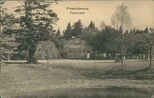 Ansichtskarte Friedrichroda Parite an der Tanzbuche 1910