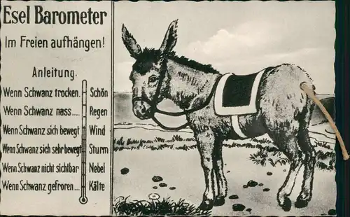 Ansichtskarte  Scherzkarte Esel Barometer 1959