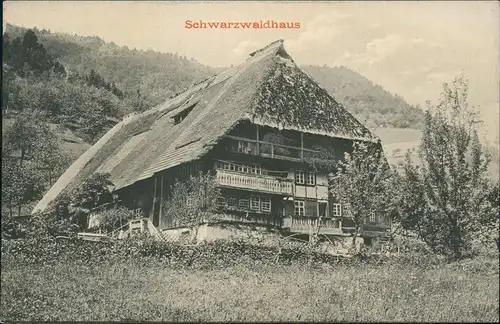 Ansichtskarte .Baden-Württemberg Schwarzwaldhaus (ohne Ortsangabe) 1910