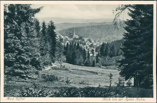 Ansichtskarte Bad Elster Blick von der Agnes-Ruhe. 1929