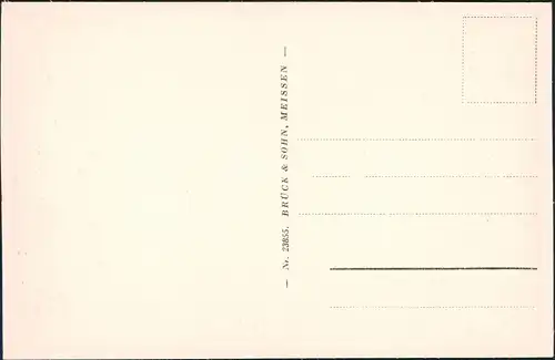 Ansichtskarte Bad Elster Blick von der Agnes-Ruhe. 1929
