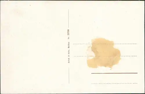 Ansichtskarte Amerika (Mulde)-Penig (Mulde) Blick ins Muldental 1928