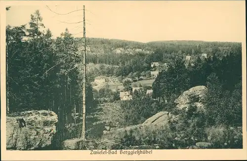 Ansichtskarte Zwiesel-Bad Gottleuba-Berggießhübel Blick auf den Ort 1924