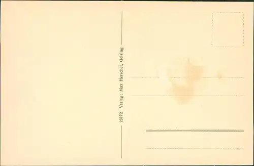 Ansichtskarte Zinnwald-Georgenfeld-Altenberg (Erzgebirge) Ortspartie 1924