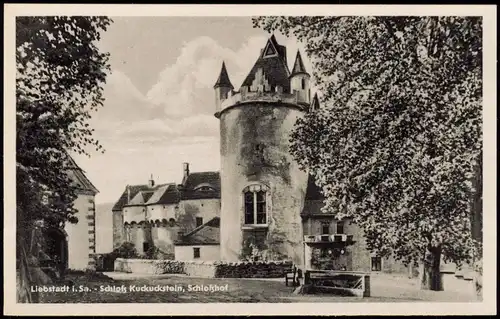 Ansichtskarte Liebstadt Schloß Kuckuckstein - Hof 1929