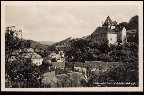 Ansichtskarte Liebstadt Stadtblick 1928
