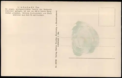 Ansichtskarte Liebstadt Pirnaische Straße 1928