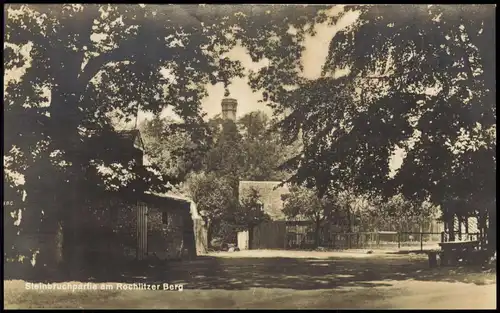 Ansichtskarte Rochlitz Aussichtsturm - Rochlitzer Berg 1928