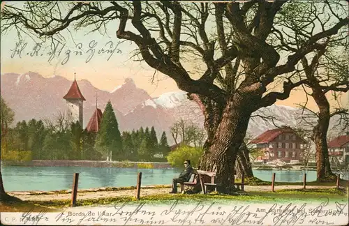 Ansichtskarte Thun Thoune Scherzlingen Mann unter altem Baum 1904