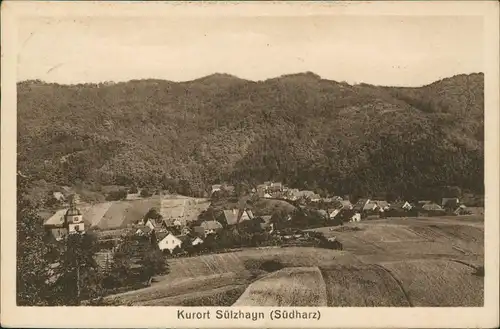 Ansichtskarte Sülzhayn-Ellrich Panorama-Ansicht Kurort im Südharz 1933