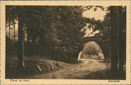 Ansichtskarte Elend (Harz) Umland-Ansicht Partie im Elendstal 1929