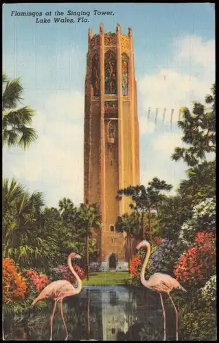 Postcard Lake Wales Florida Flamingos at the Singing Tower 1951