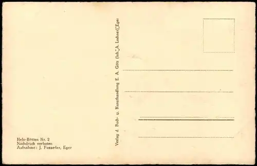 Postcard Eger Cheb Blick auf die Stadt 1930