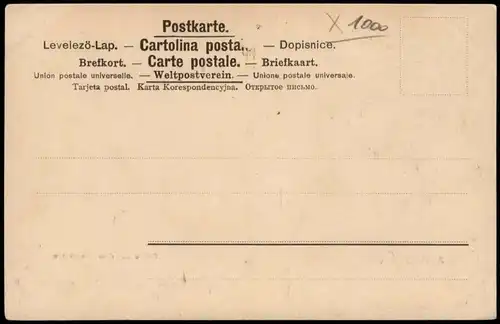 Ansichtskarte Tiergarten-Berlin Partie aus dem Tiergarten, Brücke 1912