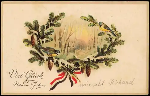Neujahr Glückwunschkarte Sylvester New Year (Vogel auf Tannenzweigen) 1910 Prägekarte