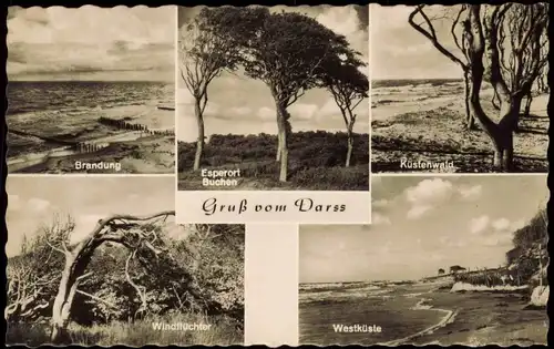 Ansichtskarte Zingst 5 Bild Umlandansichten 1962