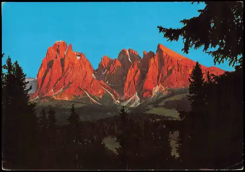 Cartoline .Trentino-Südtirol Dolomiten Gruppo del Sassolungo 1978