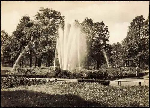 Ansichtskarte Blankenburg (Harz) Harz - Thiepark 1962