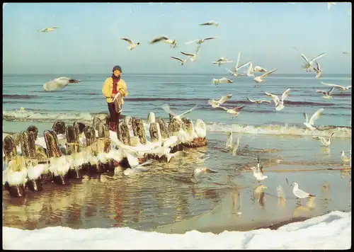 Allgemein Mecklenburg Vorpommern Winter an der Ostsee: Meer, Möwen 1982