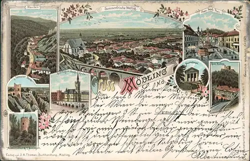 Ansichtskarte Litho AK Mödling Mehrbild Gruss aus 1899