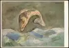 Künstlerkarte Kunst HARALD METZKES (geb. 1929) Springender Fisch 1970