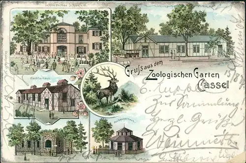 Ansichtskarte Litho AK Kassel Gruss aus Zoo Raubtierhaus Schönfeld 1897