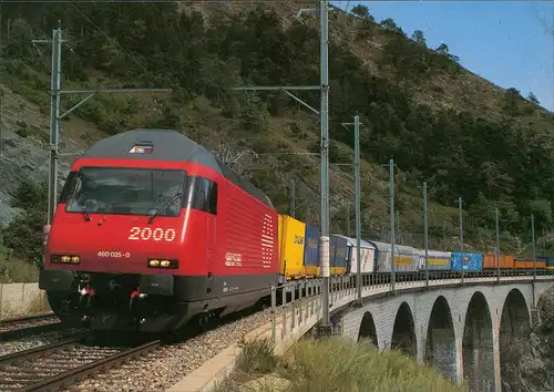 Verkehr & Eisenbahn (Railway) Re 460 025 der SBB mit Güterzug auf der Lötschberglinie 2000