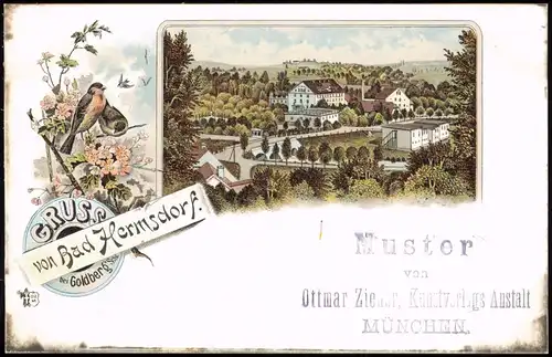 Litho AK Bad Hermsdorf KatzbachGoldberg Złotoryja Gruss aus...  Schlesien 1903