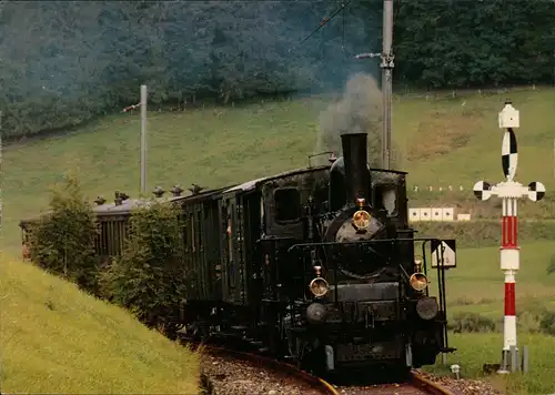Verkehr & Eisenbahn (Railway) DVZO-Dampfzug beim Einfahrtssignal Bäretswil 1980