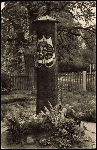 Ansichtskarte Dahlen Jägereiche im Volkspark zur DDR-Zeit 1963/1960