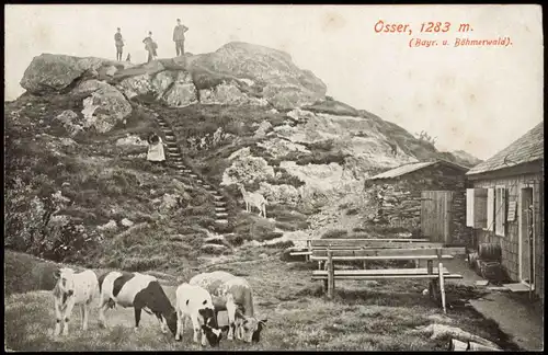 Ansichtskarte .Bayern Berg Osser 1283 M. im Bayr. und Böhmerwald 1910