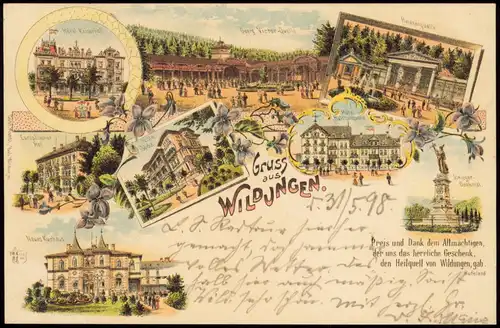 Litho AK Bad Wildungen Hotels, Kuranlagen, Denkmal Gruss aus.. 1898
