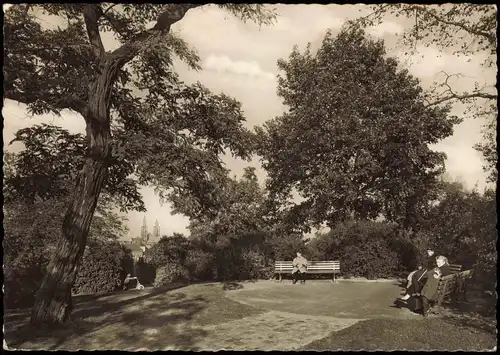 Ansichtskarte Berlin Park Ansicht (ohne genaue Ortsangabe in Berlin) 1962