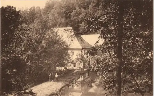 Waldenburg (Sachsen) Fürstlicher Park Grünfeld Glänzelmühle 1913