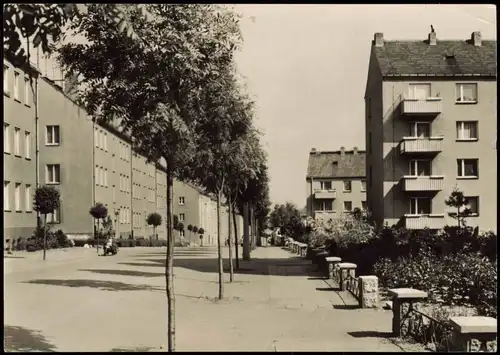 Ansichtskarte Seelow Wohnbauten i.d. Erich-Weinert-Straße zur DDR-Zeit 1970