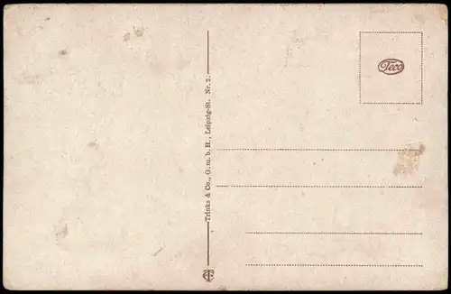 Ansichtskarte Detmold Schloß 1914