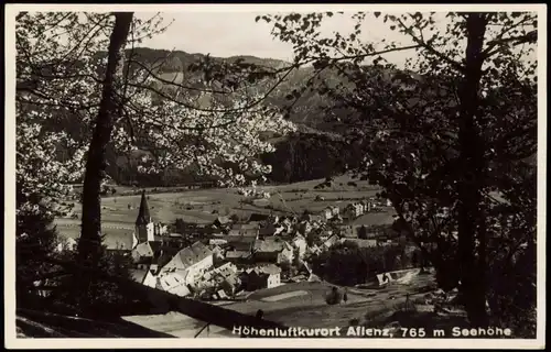 Ansichtskarte Aflenz Panorama-Ansicht 1938