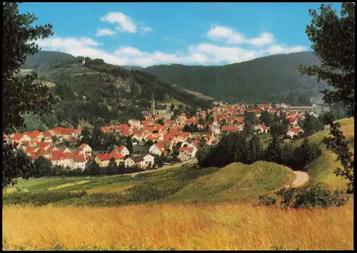 Ansichtskarte Wallenfels Panorama-Ansicht Ort im Frankenwald 1980