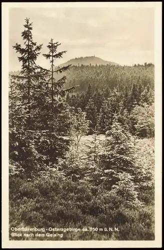 Oberbärenburg-Altenberg (Erzgebirge) Panorama-Ansicht Osterzgebirge 1942
