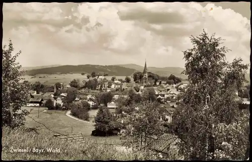 Ansichtskarte Zwiesel Panorama-Ansicht 1961