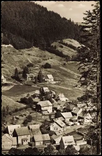 Sieber (Herzberg am Harz) Panorama-Ansicht Blick auf das Wellbeek 1959