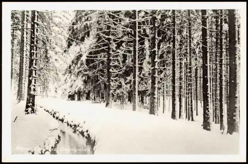 Ansichtskarte Altenau-Clausthal-Zellerfeld Dammgraben im Winter 1960