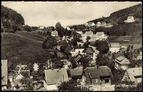 Ansichtskarte Bad Grund (Harz) Panorama-Ansicht 1950