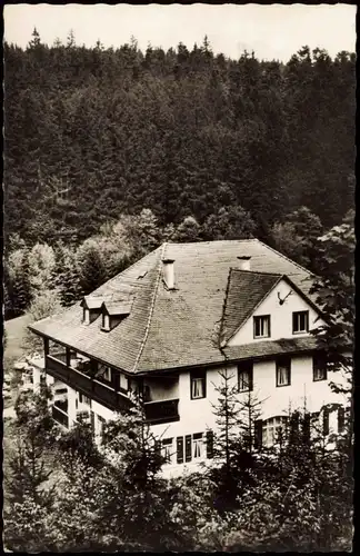 Bad Berneck im Fichtelgebirge Pension Café Waldkurhaus Waldlust 1960