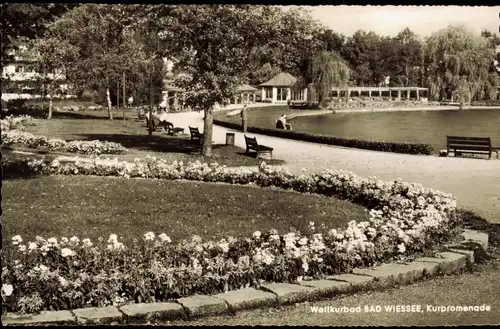 Ansichtskarte Bad Wiessee Kuranlagen Kurpark Kurpromenade 1967