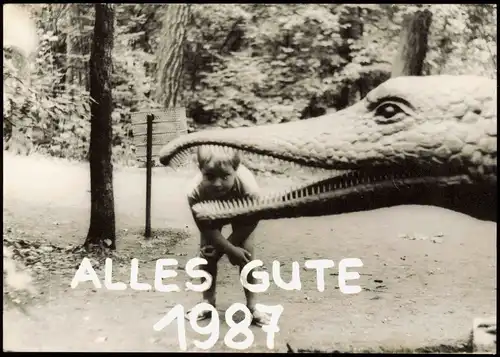Ansichtskarte Kleinwelka Mały Wjelkow Saurierpark, Junge Dinosaurier 1987