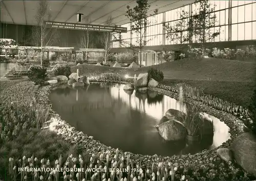 Ansichtskarte Berlin Internationale Grüne Woche: Teich 1968