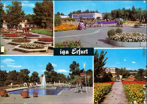 Ansichtskarte Erfurt Internationale Gartenbauausstellung der DDR (IGA) 1985